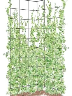 Two Panel Folding Trellis -The Garden Works Shop 8589053 002Z tif