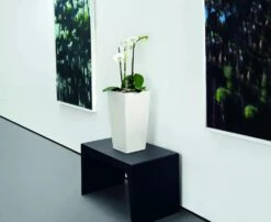 Lechuza® Cubico Color Tall Self-Watering Planters -The Garden Works Shop 8589485 03V tif