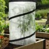Pop-Up Tomato Accelerator -The Garden Works Shop 8589749 4171 pop up tomato plant protector and accelerator tif