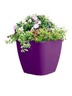 Viva Square Self-Watering Rolling Planter, 17.5" Diameter -The Garden Works Shop 8589778PR 6126 tif