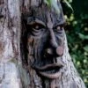 Friendly Ent Tree Face -The Garden Works Shop 8589841 001v