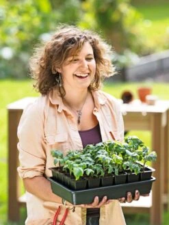 Growease Seed Starter Kit -The Garden Works Shop 8589987 0446 tif