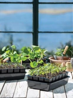 Growease Seed Starter Kit -The Garden Works Shop 8589987 7871 tif