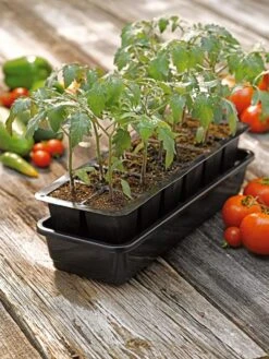 Growease Seed Starter Kit -The Garden Works Shop 8589988 1056 tif