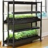 2-Tier SunLite® Garden -The Garden Works Shop 8590049 2489 grow lights with two shelves large tif