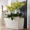 Lechuza® Cararo Rectangular Indoor Planter With Casters -The Garden Works Shop 8590295 02v lechuza cararo rectangular indoor planter with casters