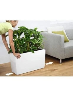 Lechuza® Cararo Rectangular Indoor Planter With Casters -The Garden Works Shop 8590295 03v
