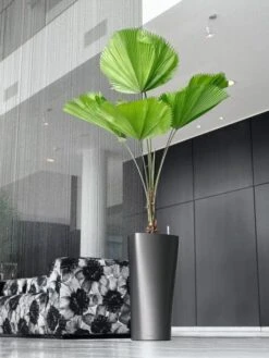 Lechuza® Delta Premium Self-Watering Planters 13 Lechuza® Delta Premium Self-Watering Planters -The Garden Works Shop 8590299 02V tif