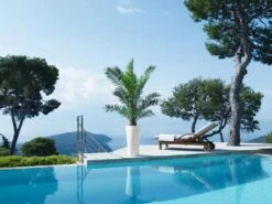 Lechuza® Delta Premium Self-Watering Planters 12 Lechuza® Delta Premium Self-Watering Planters -The Garden Works Shop 8590299 04V tif