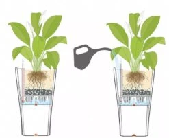 Lechuza® Delta Premium Self-Watering Planters 11 Lechuza® Delta Premium Self-Watering Planters -The Garden Works Shop 8590299 07V tif