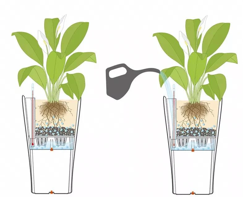 Lechuza® Delta Premium Self-Watering Planters 6 Lechuza® Delta Premium Self-Watering Planters - Image 4