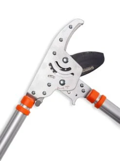 Telescoping Ratchet Loppers 7 Telescoping Ratchet Loppers -The Garden Works Shop 8591285 025 tif