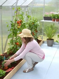 Canopia® By Palram Essence™ Greenhouse, 8' X 12' -The Garden Works Shop 8591356 04V tif