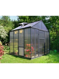 Canopia® By Palram Glory™ Greenhouse, 8' -The Garden Works Shop 8591547 01v