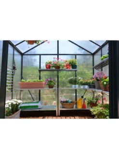 Canopia® By Palram Glory™ Greenhouse, 8' -The Garden Works Shop 8591547 02v