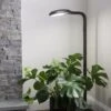 Agrobrite Floor Plant Lamp -The Garden Works Shop 8592053 0215 tif