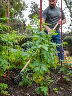 Gardener's Lifetime Long-Handled Double Tool 8 Gardener's Lifetime Long-Handled Double Tool -The Garden Works Shop 8592107 2481 tif