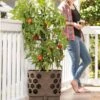 Gardener's Revolution® Tomato Planter -The Garden Works Shop 8592159 406 001E tif
