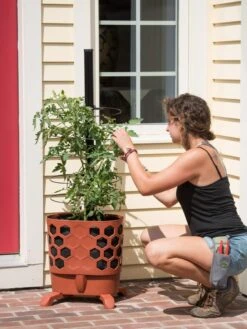 Gardener's Revolution® Tomato Planter -The Garden Works Shop 8592161 9176 tif