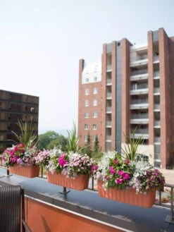 Adjustable Self-Watering Railing Planter, 24" -The Garden Works Shop 8592173TC 2383 tif