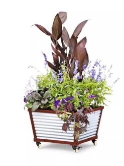 Galvanized Self-Watering Planters -The Garden Works Shop 8592176 5067 tif