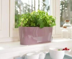 Lechuza® Delta Self-Watering Windowsill Planters -The Garden Works Shop 8592361 01V tif