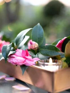 Rectangular Copper Plant Tray, 18"x4" 9 Rectangular Copper Plant Tray, 18"x4" -The Garden Works Shop 8593532 02IN tif