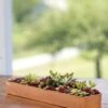 Rectangular Copper Plant Tray, 18"x4" -The Garden Works Shop 8593532 4632 tif