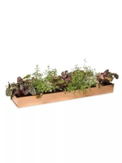 Rectangular Copper Plant Tray, 24" X 5" -The Garden Works Shop 8593533 2878 tif