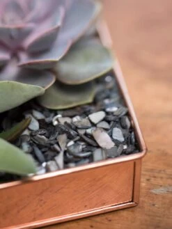 Rectangular Copper Plant Tray, 24" X 5" -The Garden Works Shop 8593533 4570 tif