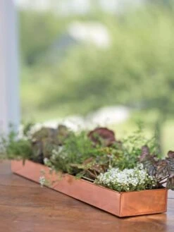 Rectangular Copper Plant Tray, 24" X 5" -The Garden Works Shop 8593533 4626 tif