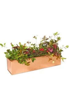 Tall Rectangular Copper Plant Tray, 18" X 5" X 4" -The Garden Works Shop 8593534 2899 tif