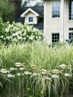 Fish Out Of Water Garden Stakes, Set Of 5 -The Garden Works Shop 8593672 9124 tif