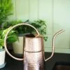 Copper Indoor Watering Can -The Garden Works Shop 8593724 5369 tif