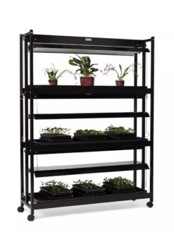 High Intensity 3-Tier SunLite® Garden -The Garden Works Shop 8593944 1608 tif