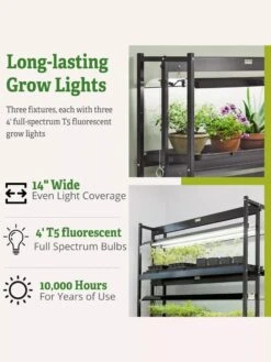 High Intensity 3-Tier SunLite® Garden -The Garden Works Shop 8593944 6