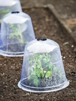 Large Garden Cloches, Set Of 3 -The Garden Works Shop 8593984 9432 tif