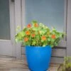 Viva Round Self-Watering Rolling Planter, 17.25” Diameter -The Garden Works Shop 8594077 0087 tif