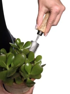Gardener's Lifetime Mini Trowel -The Garden Works Shop 8594146 0111 tif