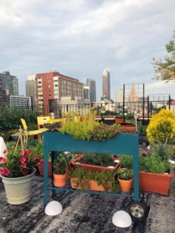 Demeter Mobile Planter Cart -The Garden Works Shop 8594148 01CUST tif