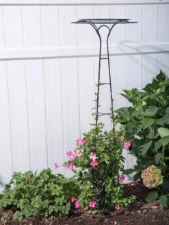 Essex Tuteur, 63" -The Garden Works Shop 8594162 0023 tif