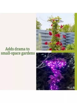 Essex Tuteur, 63" -The Garden Works Shop 8594162 3