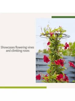 Essex Tuteur, 63" -The Garden Works Shop 8594162 4