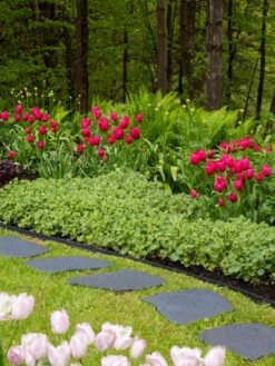 Recycled Rubber Flagstone Stepping Stone 18 Recycled Rubber Flagstone Stepping Stone -The Garden Works Shop 8594282 518 tif