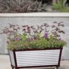 Short Galvanized Self-Watering Trough Planter -The Garden Works Shop 8594329 5064 tif