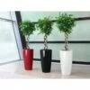 Lechuza® Rondo Self-Watering Planters -The Garden Works Shop 8594586 01V tif