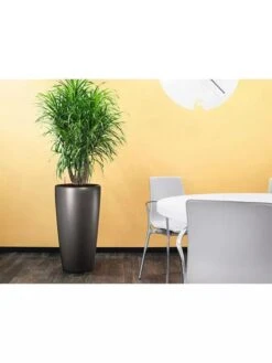 Lechuza® Rondo Self-Watering Planters -The Garden Works Shop 8594586 02V tif