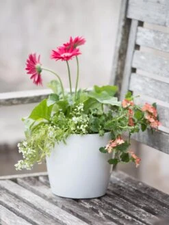 Viva Round Self-Watering Planter, 7" Diameter -The Garden Works Shop 8595222 1139 tif