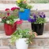 Viva Round Self-Watering Planter, 7" Diameter 2 Viva Round Self-Watering Planter, 7" Diameter -The Garden Works Shop 8595222 5302 tif