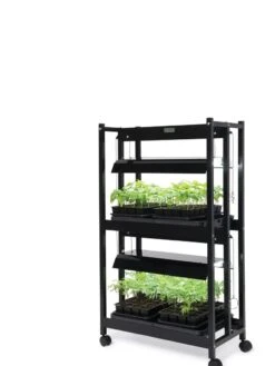 LED SunLite® Compact 2-Tier Garden -The Garden Works Shop 8595556 10132 tif